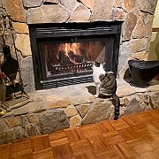 IMG_3810 (2)